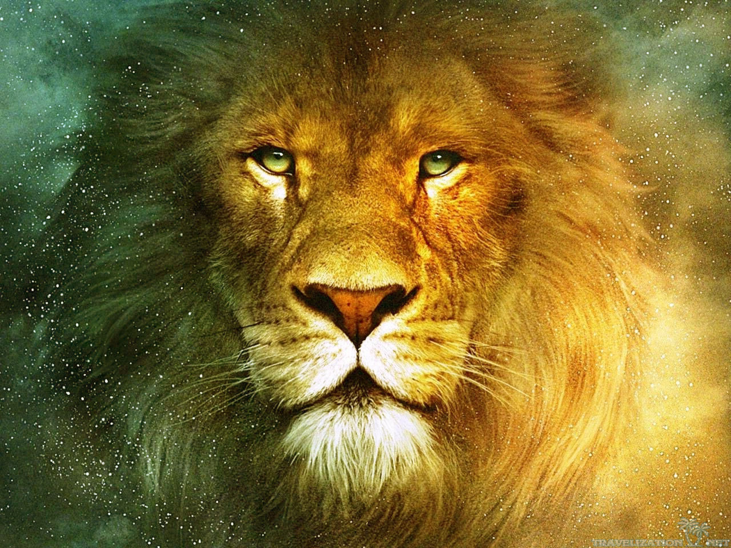 the lion king 8k MacBook Pro Wallpaper Download | AllMacWallpaper