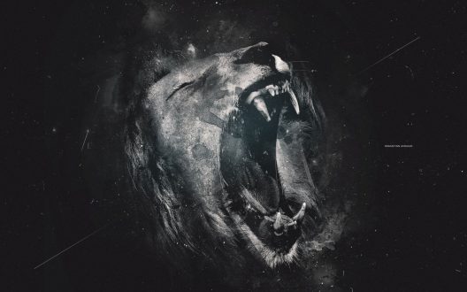 Lion Wallpaper 8