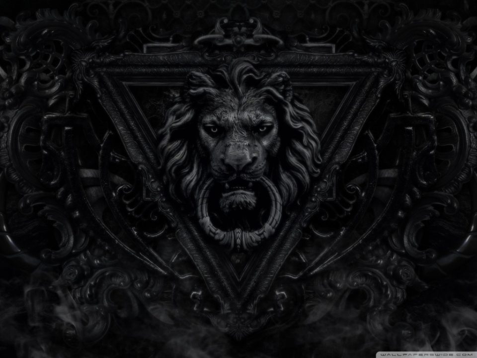 Lion Wallpaper 4