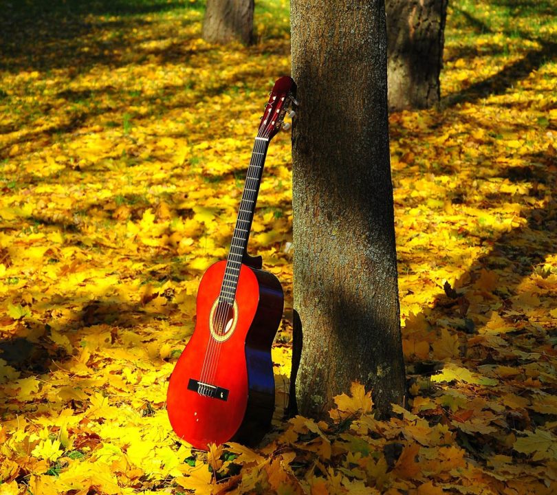 Autumn Red Guitar wallpaper 9679325