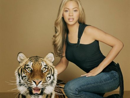 Beyonce Knowles Wallpapers