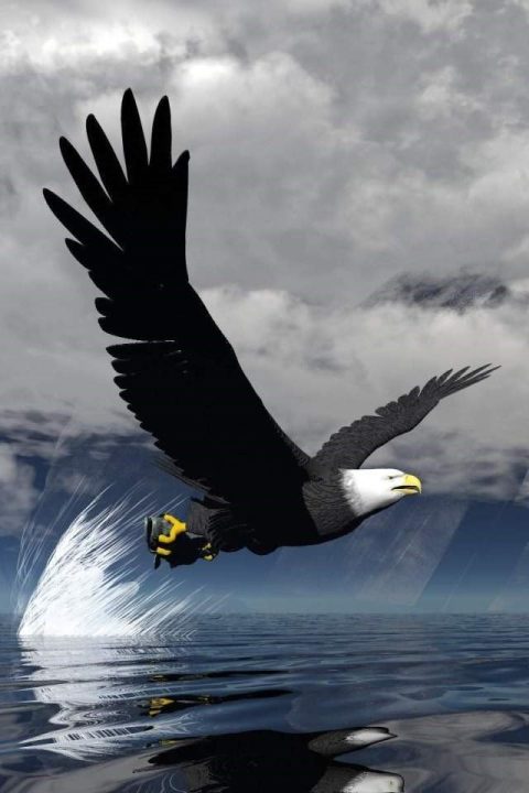 Eagle 4