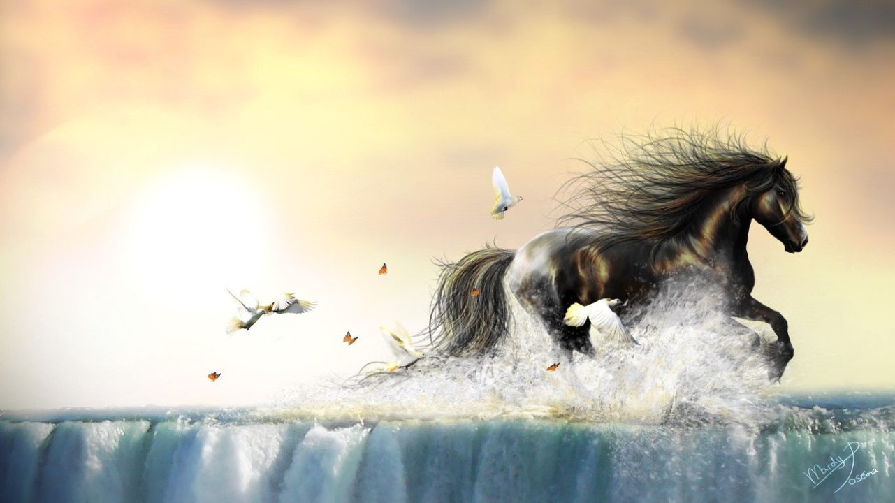 Horse Computer Wallpapers