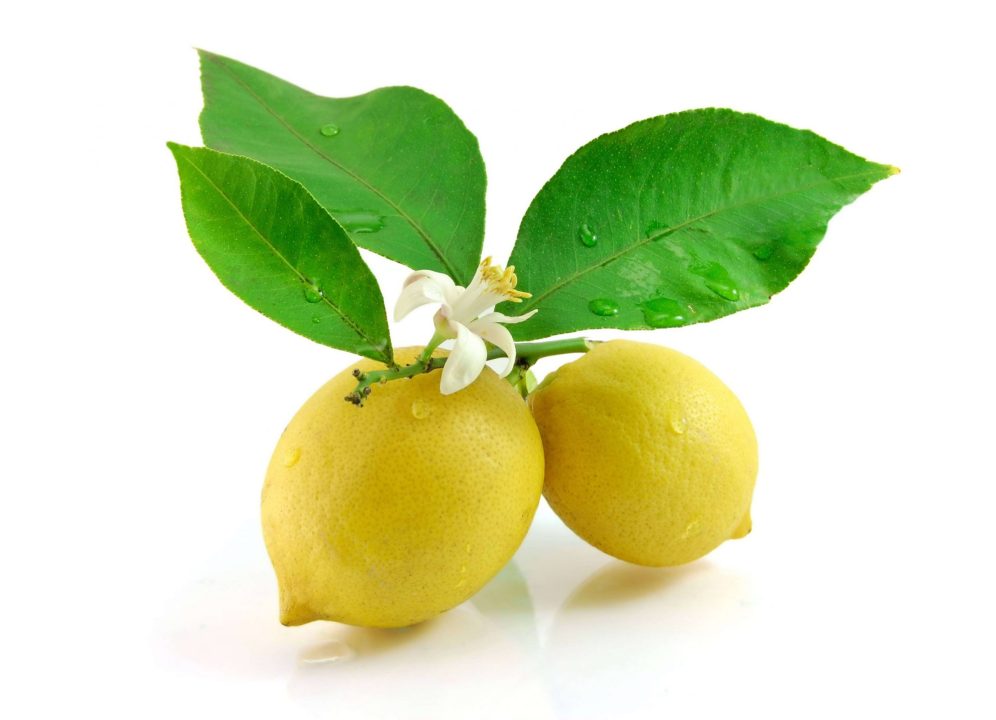 Lemon 3