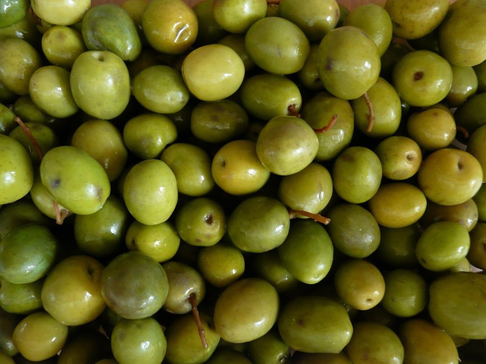 Olives 4