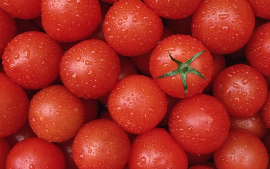 Tomato 14