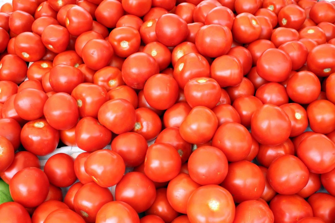 Tomato 4K