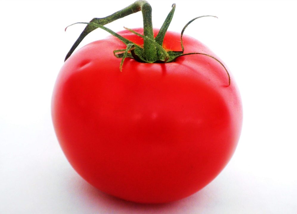 Tomato 9