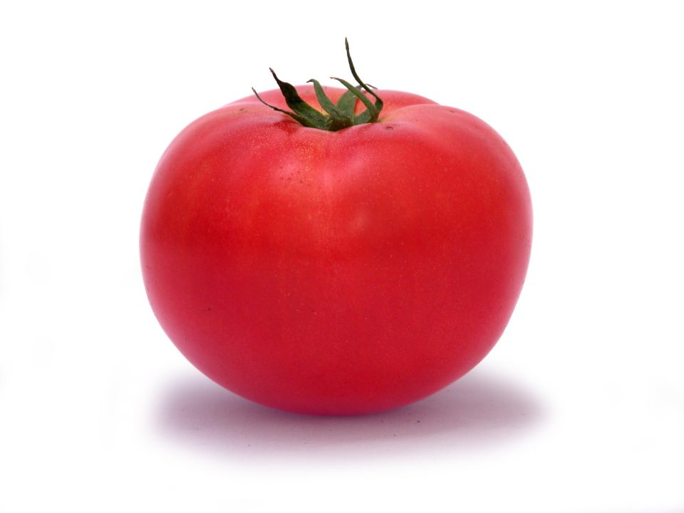 Tomato