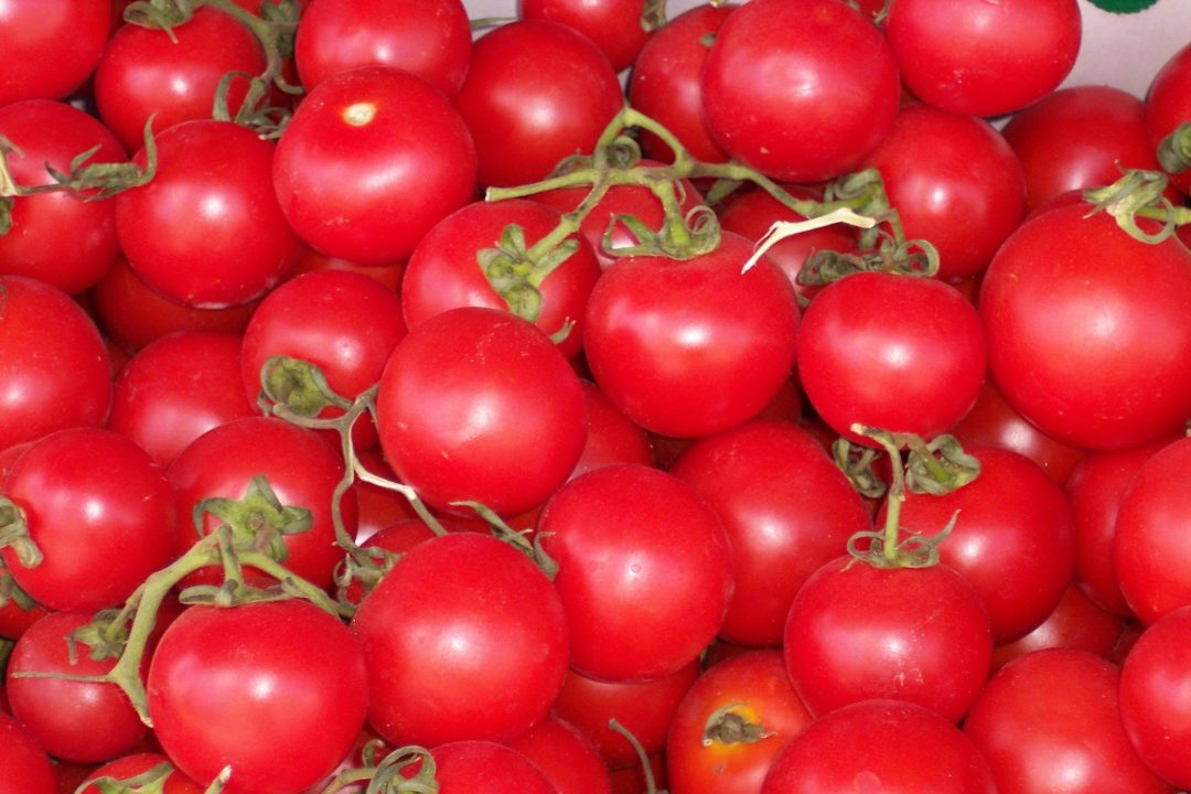 Tomato HD Photos