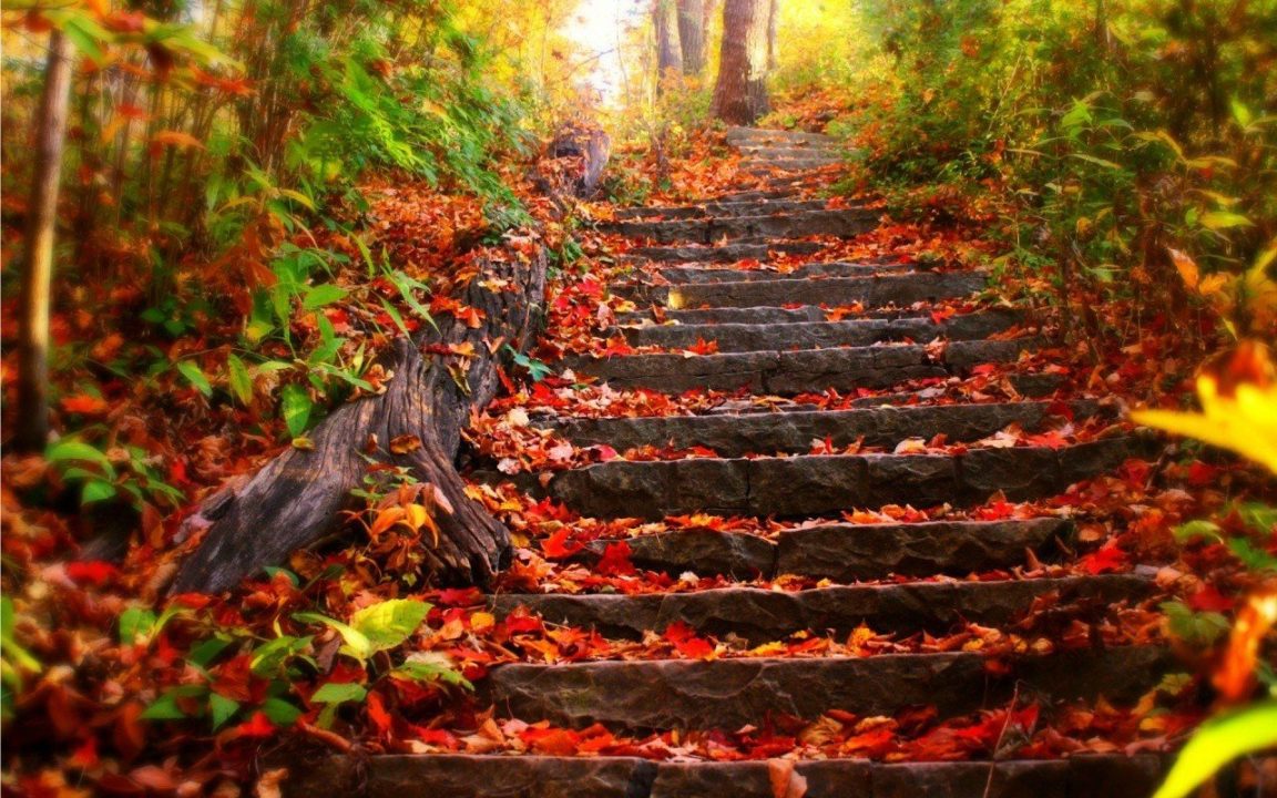 1080p High Definition Wallpapers For Desktop 038