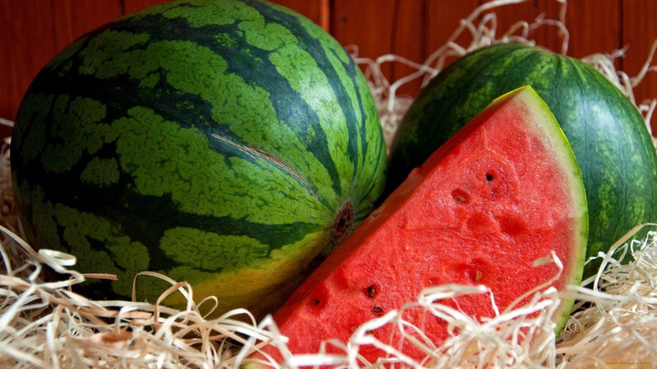 Watermelon Photos