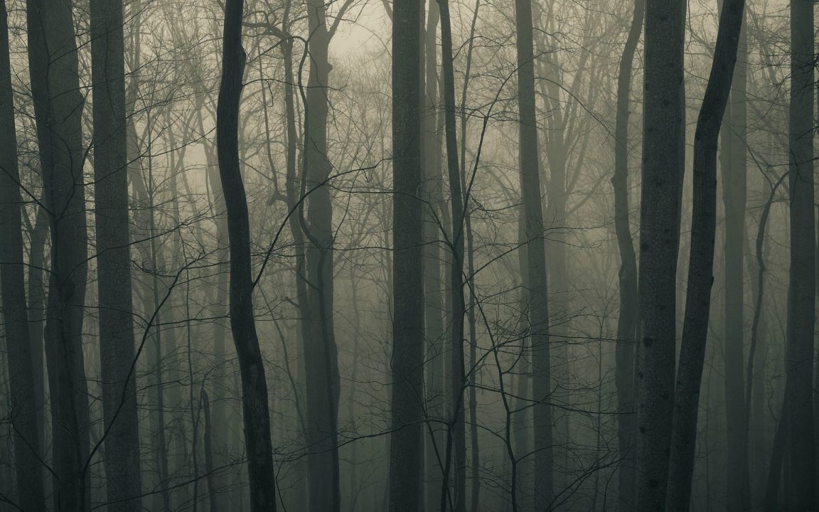 Free HD Wallpapers 077