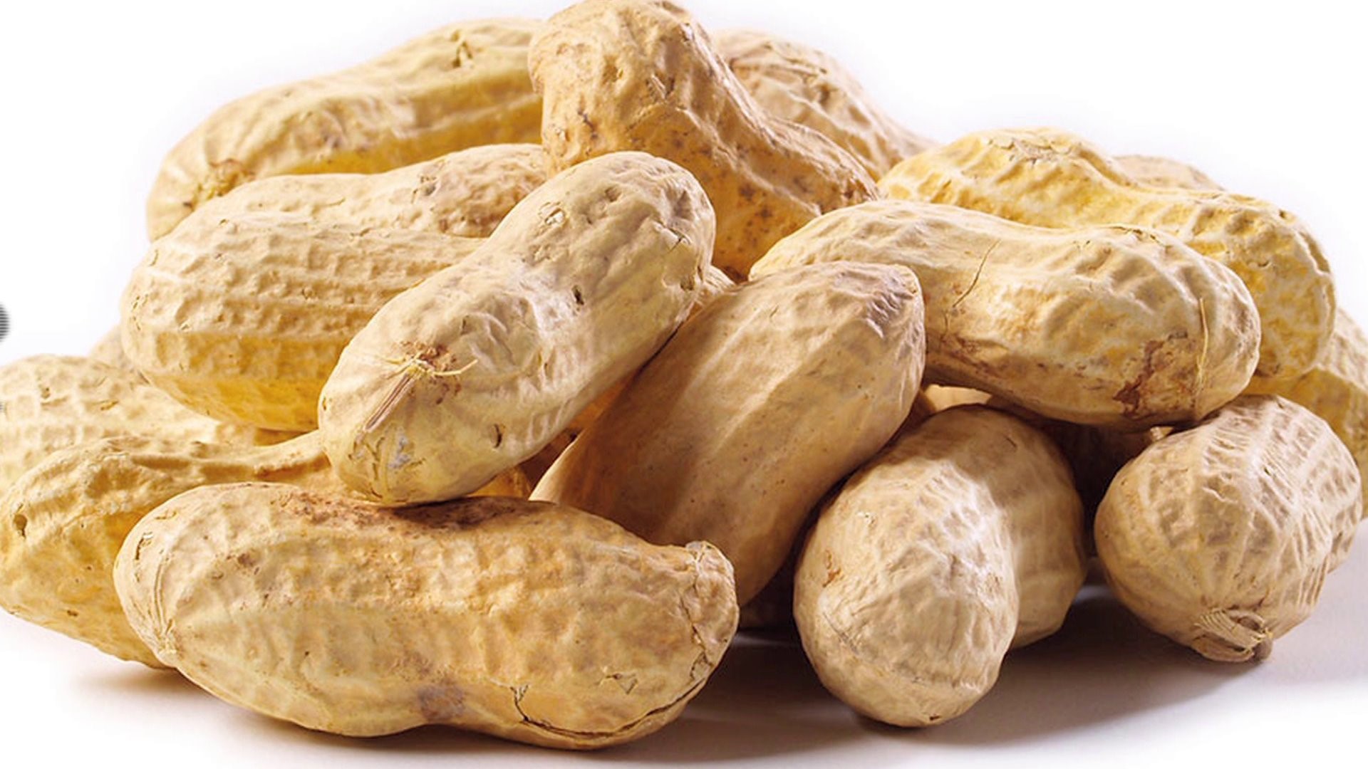 Nuts pictures wallpics net wallpapers photos pictures backgrounds