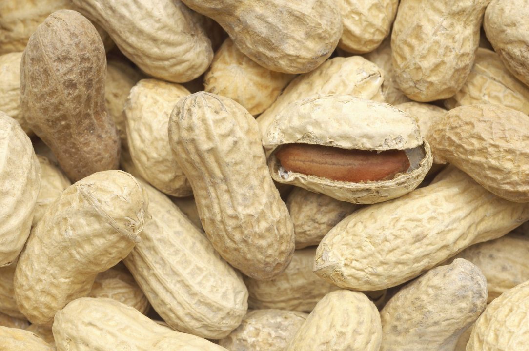 Peanuts Background