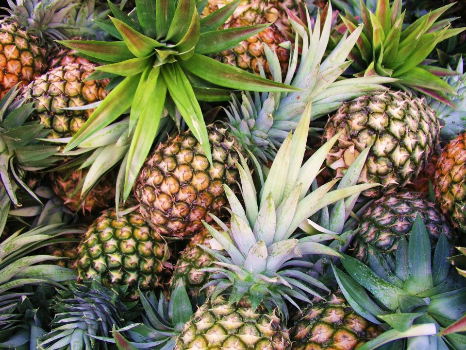 Pineapple