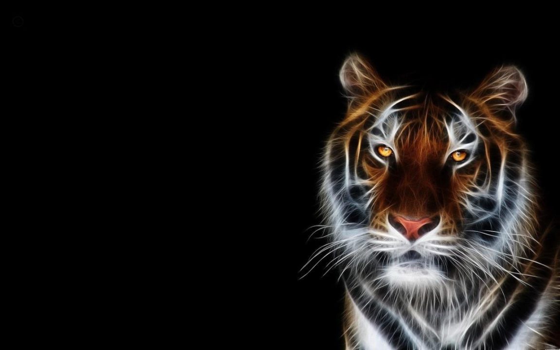 Tiger Wallpapers 2
