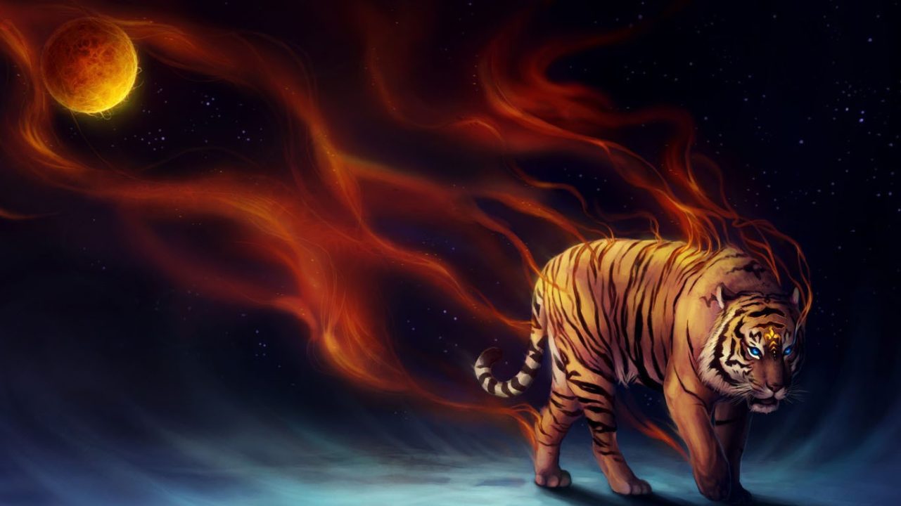 Tiger Wallpapers 3