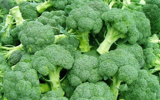 Broccoli HD