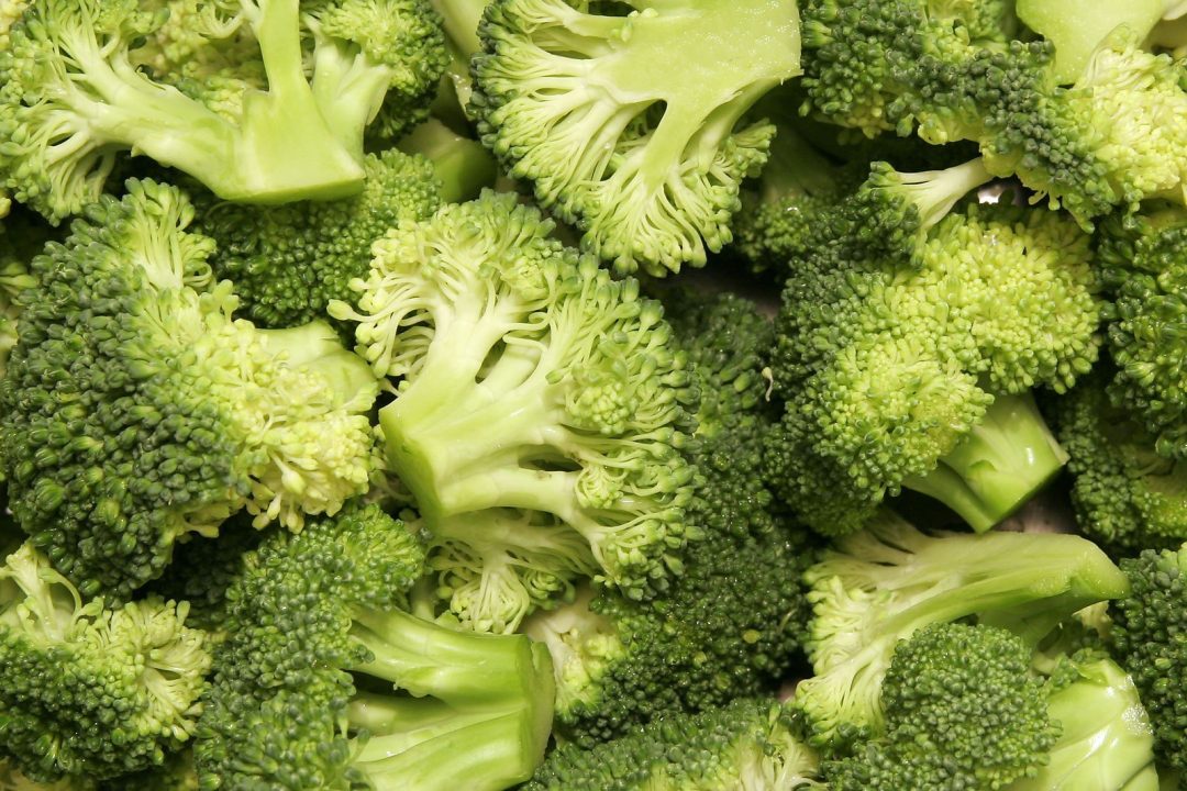 Broccoli Photos