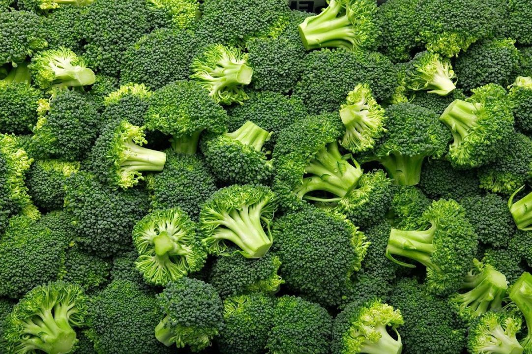 Broccoli Pics