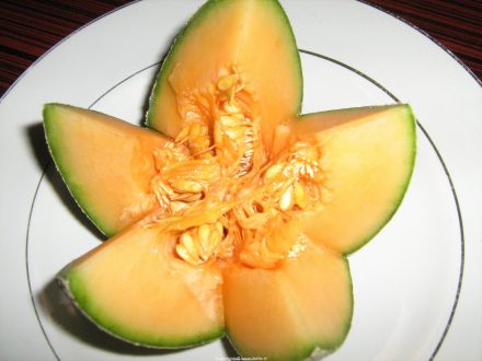 Melon Background images