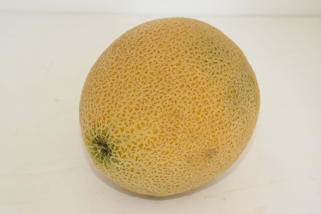 Melon Widescreen