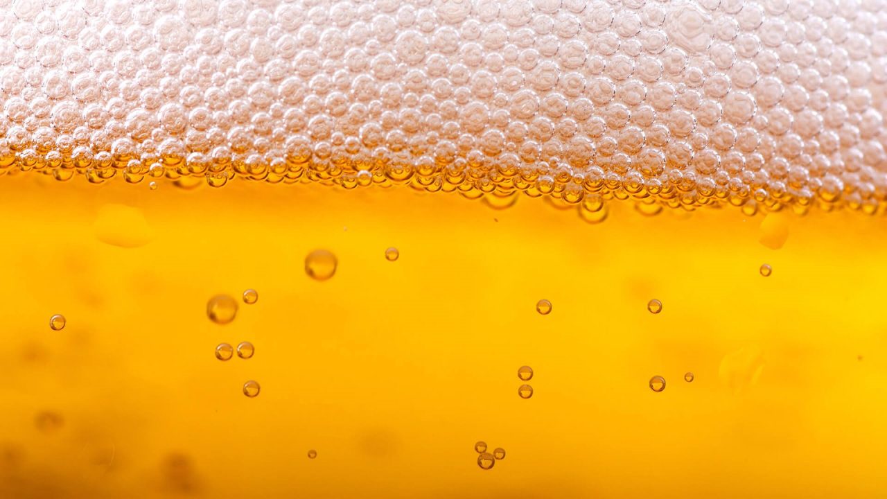 Beer images