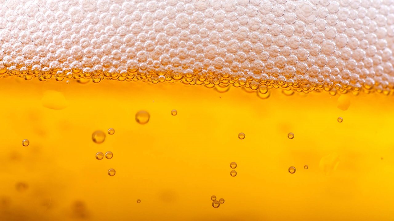 Beer images
