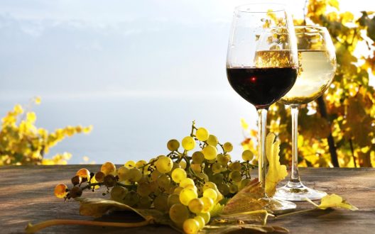 Wine Pictures