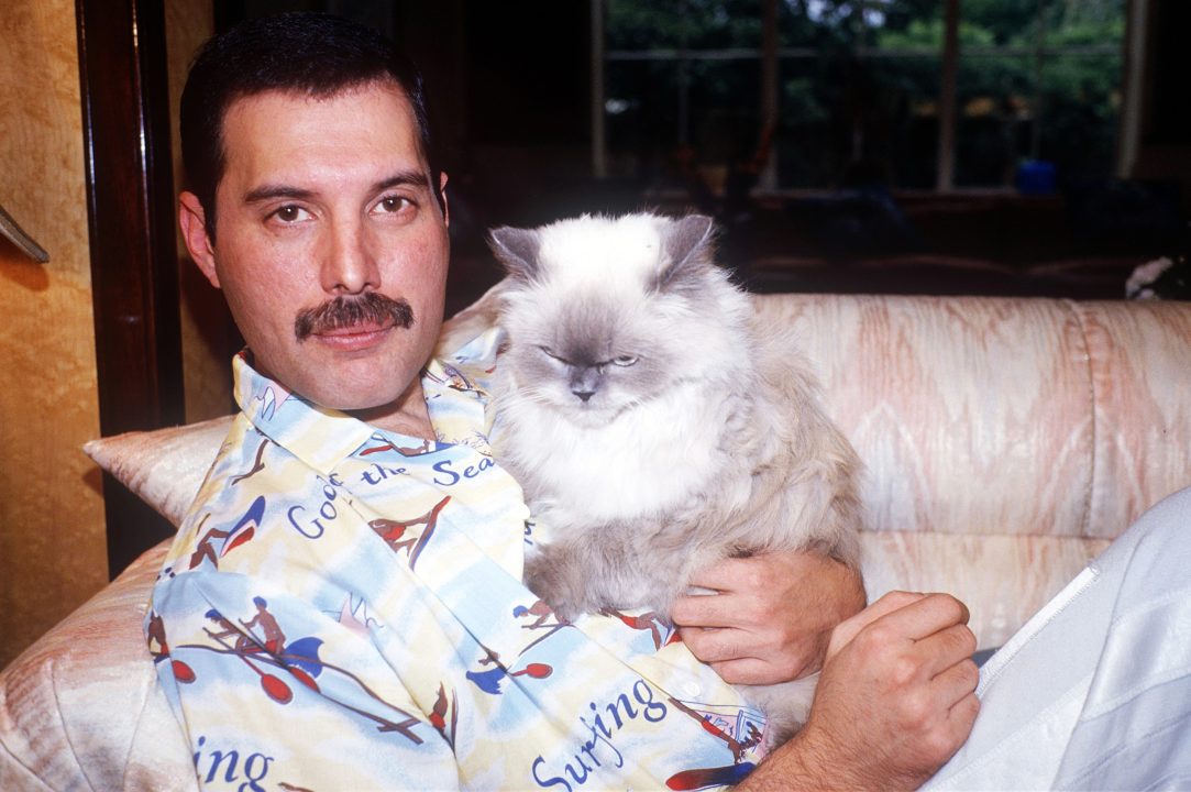 Freddie Mercury