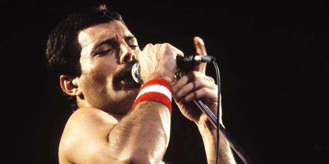 Freddie Mercury 5
