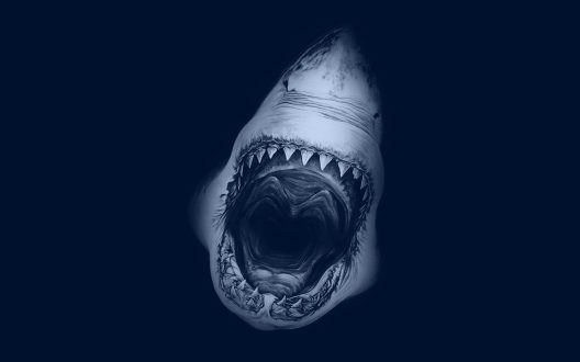 Shark Laptop Wallpapers