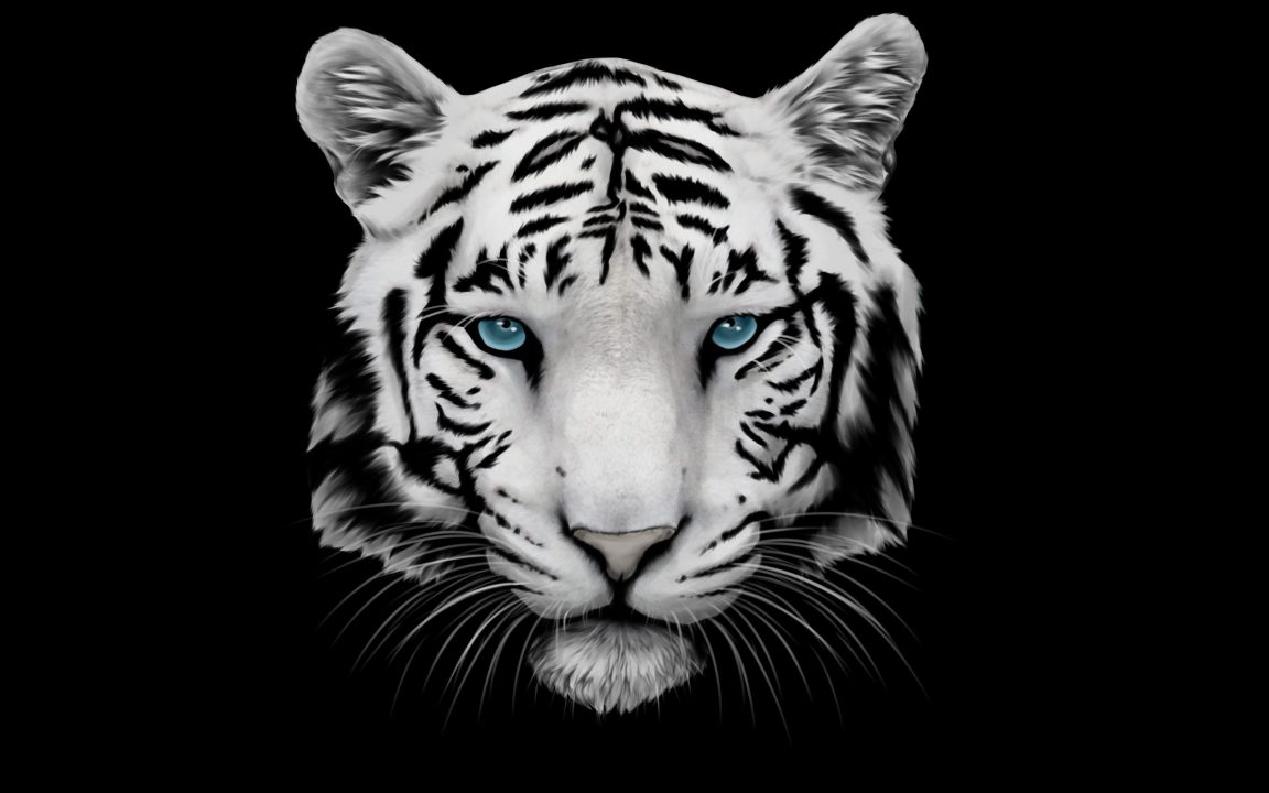 White Tiger 15