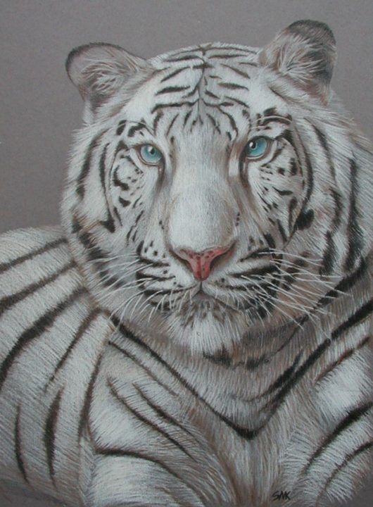White Tiger 19