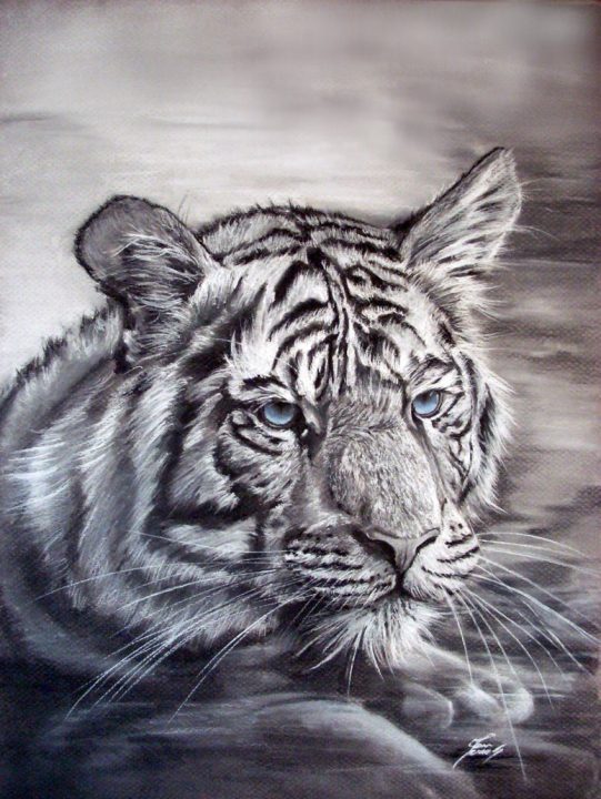 White Tiger 6