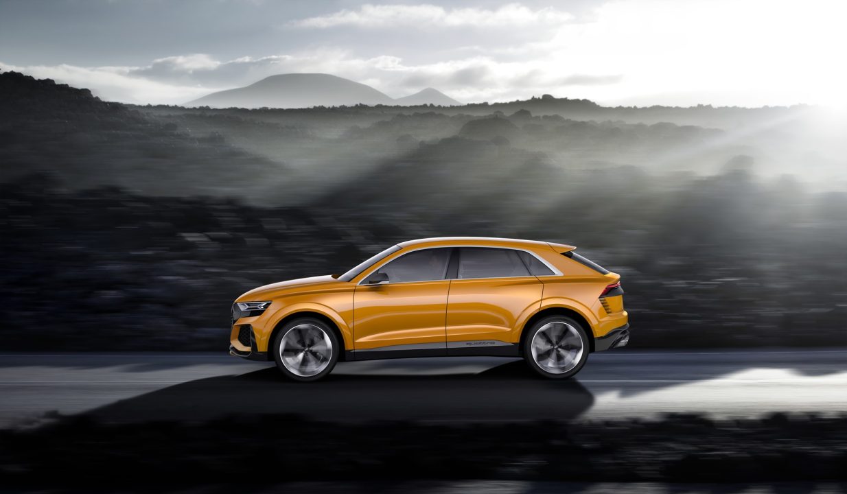 Audi Q8 Sport Pics