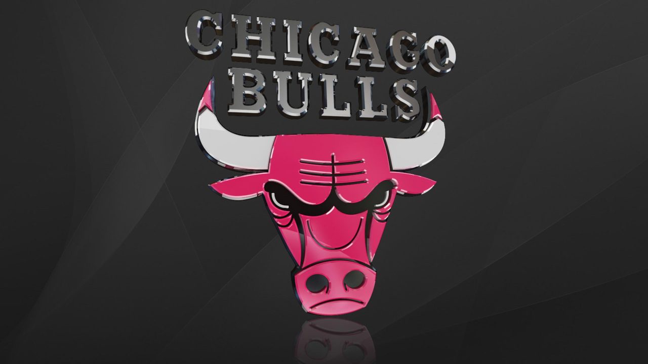 Chicago Bulls Photos