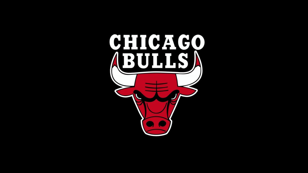 Chicago Bulls Pics