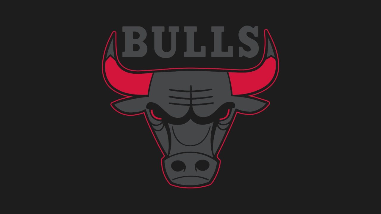 Chicago Bulls images