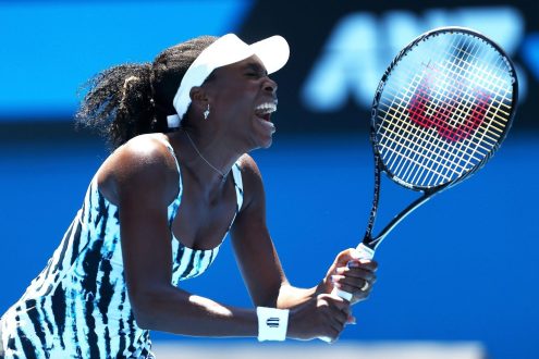 Venus Williams Windows Wallpapers