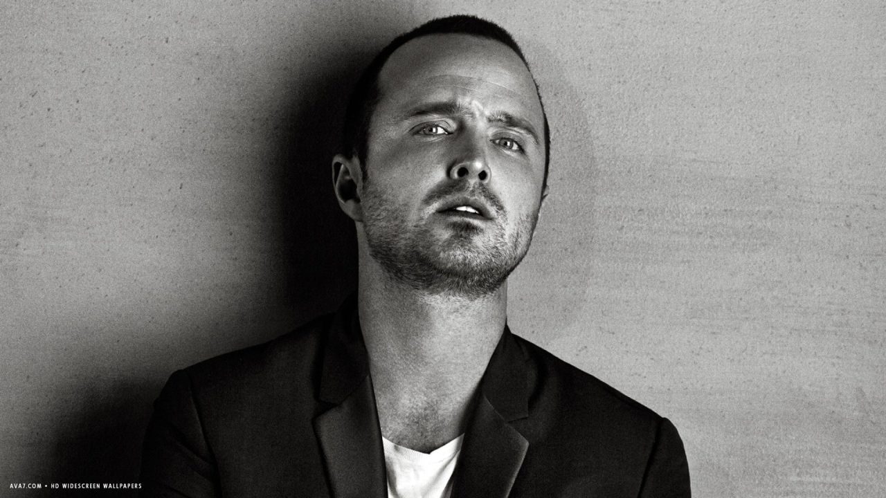 Aaron Paul Wallpapers 2