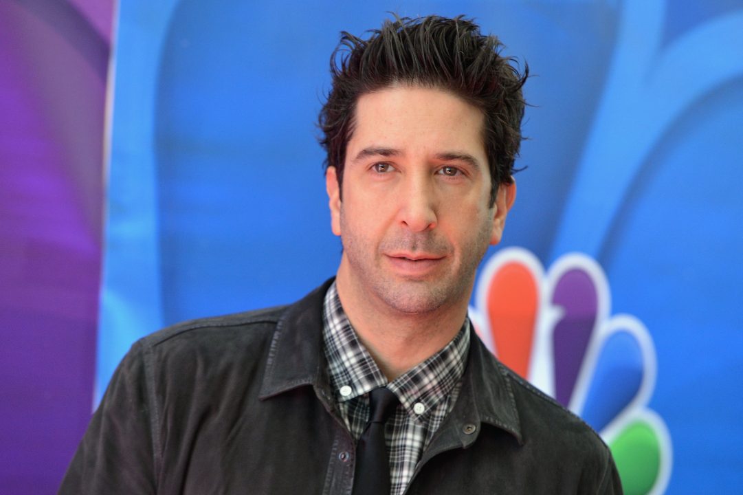 David Schwimmer Photos