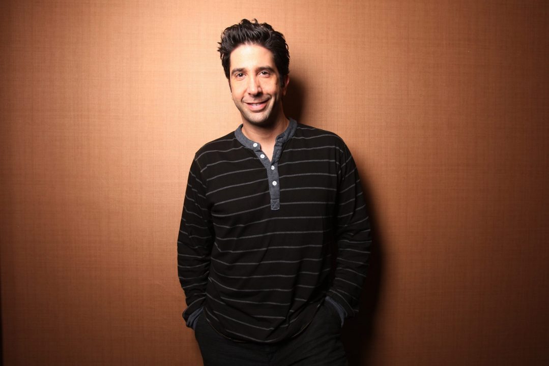 David Schwimmer Pics