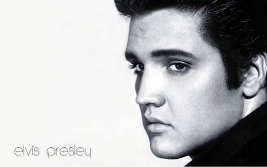 Elvis Presley Gallery