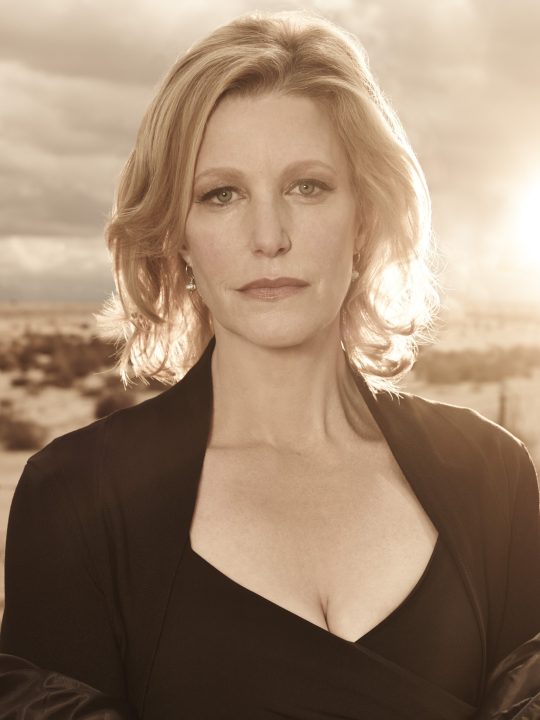 Anna Gunn 12