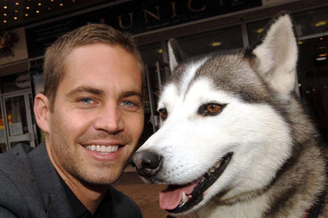 Paul Walker Background images