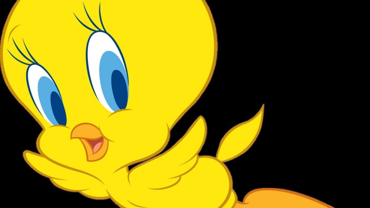 Tweety 4