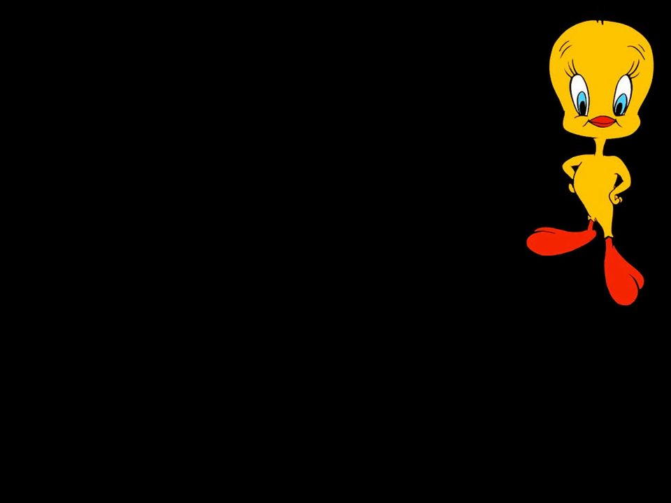 Tweety Pics