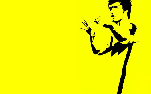 Bruce Lee 5